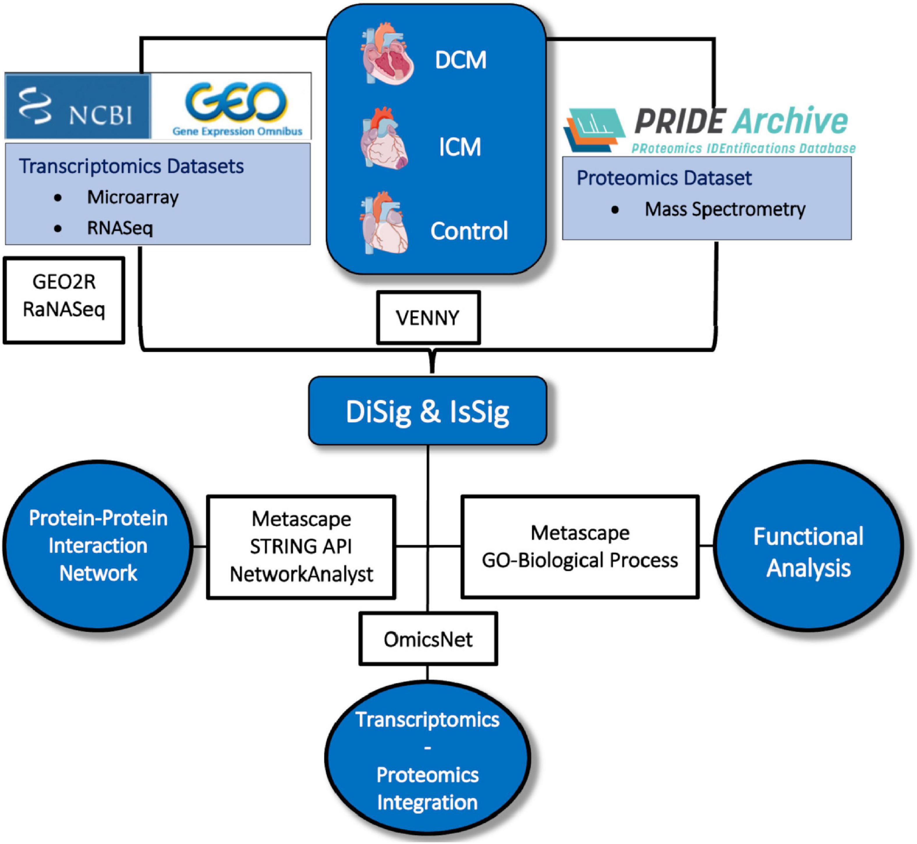 Multi-omics integration to identify the genetic expression and protein signature of dilated and ischemic cardiomyopathy